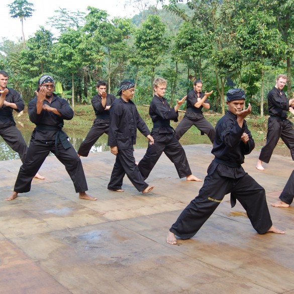 Pencak Silat More Than Just a Fight Indonesia Expat