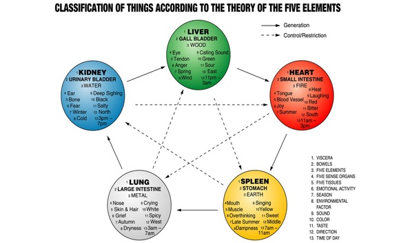 Tcm Five Element Chart